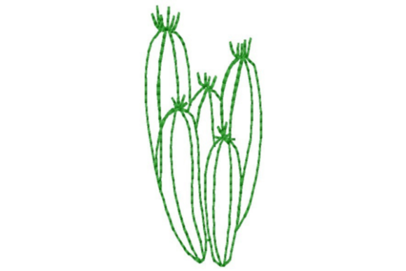 Reviewing Southwestern Cactus Outline for Etsy Shops