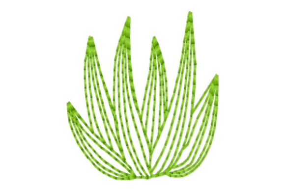 Succulent Leaves Outline: A Boutique Sweatshirt Review