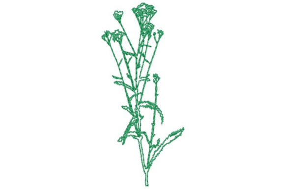 Wildflower Outline: A Designer’s Review for Apparel